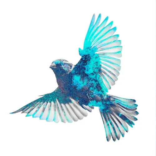 Mockingbird Recordings