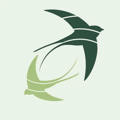 Studio Hirondelle RDC