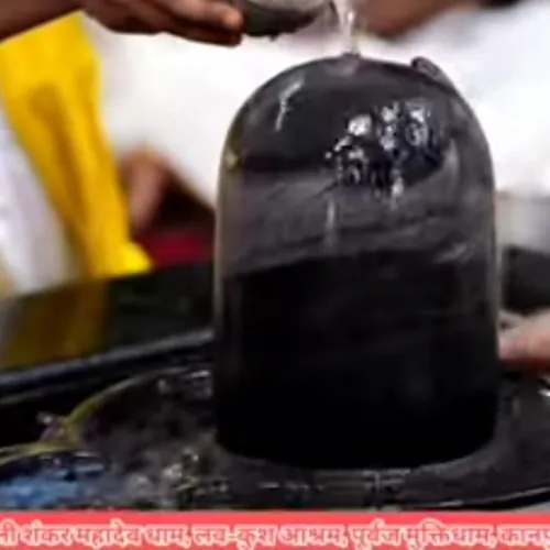 VIJAY SAMATBHAI JAPADIYA