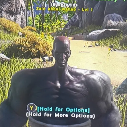 JUSTIN TIMBERLAKE MIRRORS 