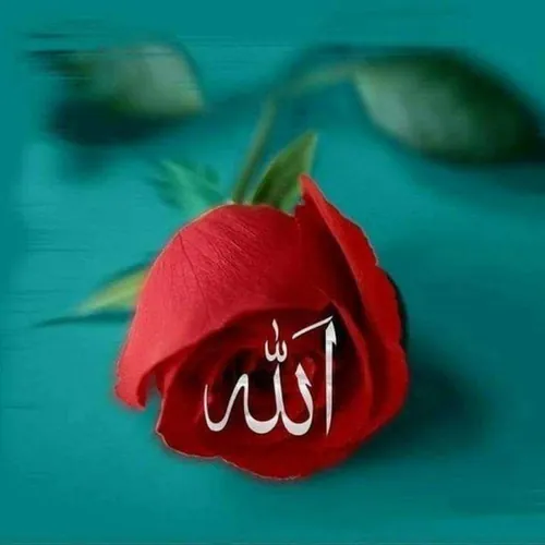 Islamic Short