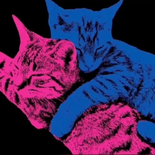 🖤𝐷𝑎𝑛𝑖𝑖-𝑓7𝑐_𝑌𝑇🖤