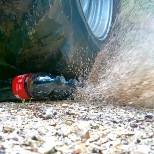 HaerteTest Forest Edition