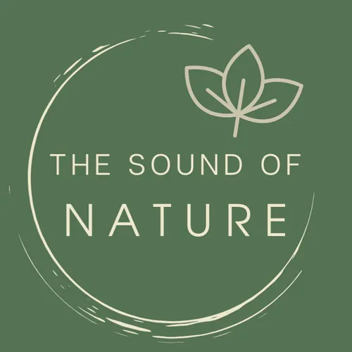 The Sounds Of NATURE - Bali island 