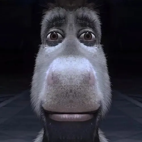D0nkey