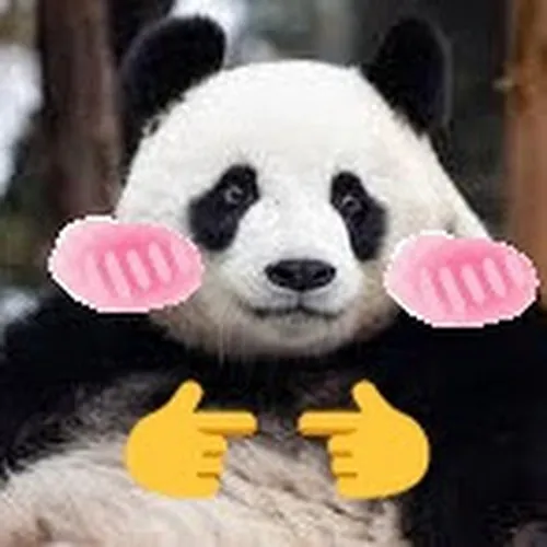 Shy-Panda