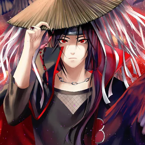 Negro down