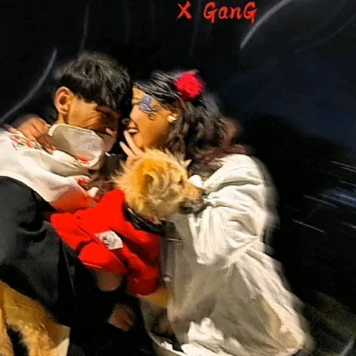 Lil Point-xxx 