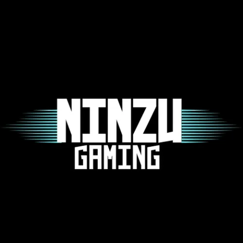 Ninzu gaming 