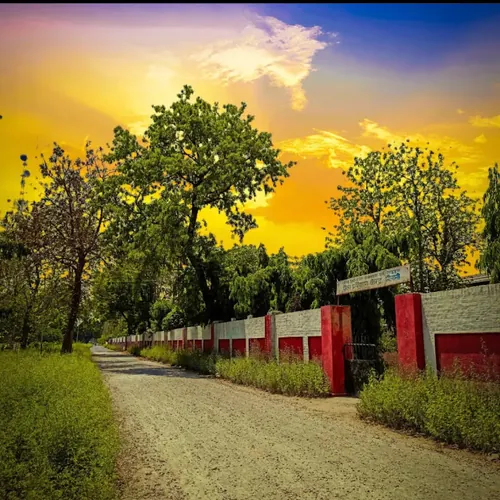 the_another_side_of_mailani