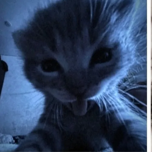 💤𝒦𝒾𝓇𝒶💙