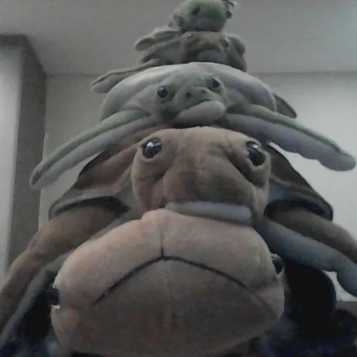 The Turtle God
