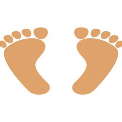 강호의발바닥TV