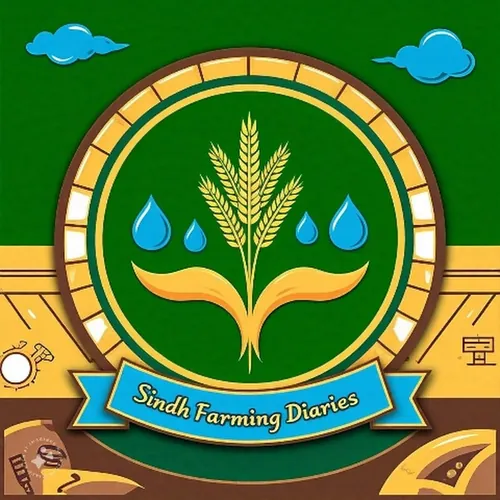 Sindh Farming Diaries 🌱