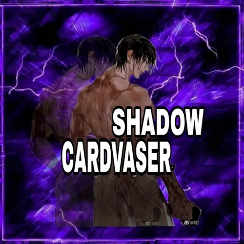 SHADOW _CARDVASER