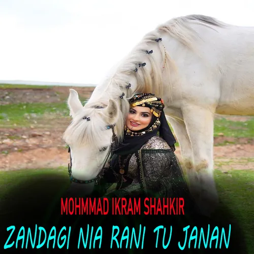 Mohmmad Ikram Shahkir - Topic