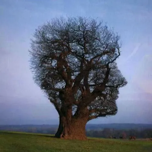 Amazing World