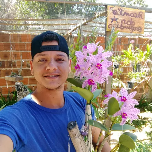 Gilson orquideas