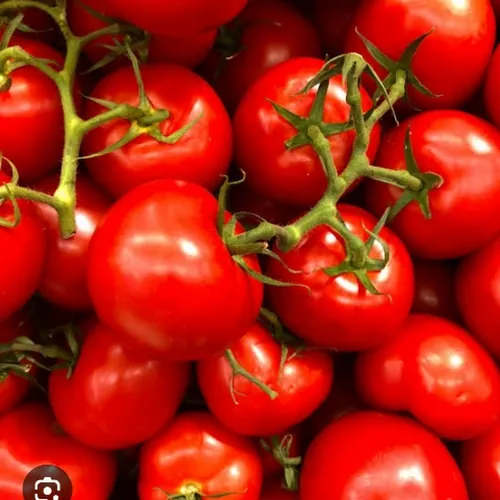Delhi  fruit market