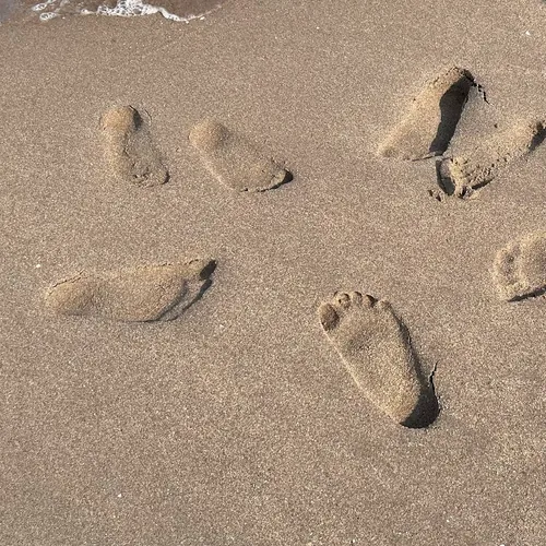 HH family vlog