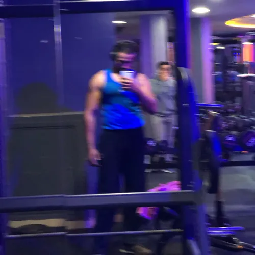 Train with wolf