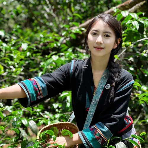 晴朗的茶