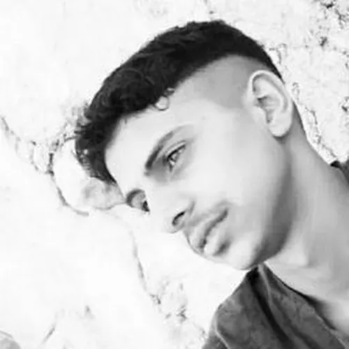 محمود الهمشري