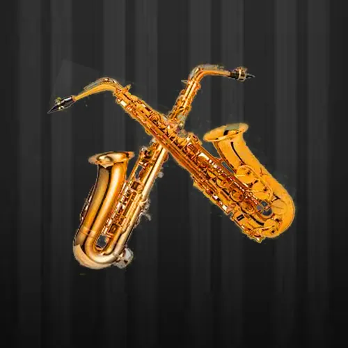 Saxomoto