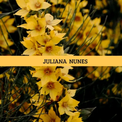 Ju Núnes