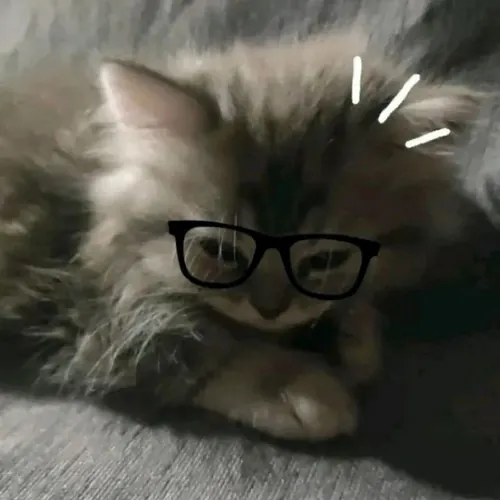 bear is sleepy💤🦇