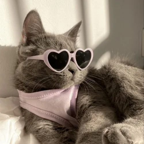 Aria💗