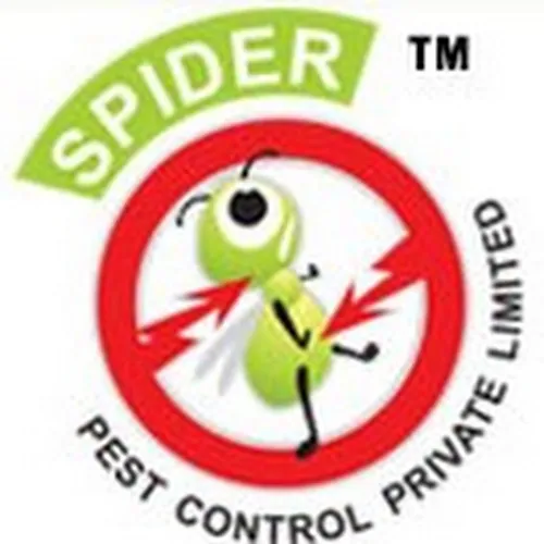Spider groups