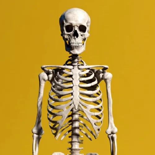Skeleton Voice 