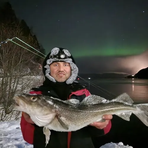 Masterfisherman