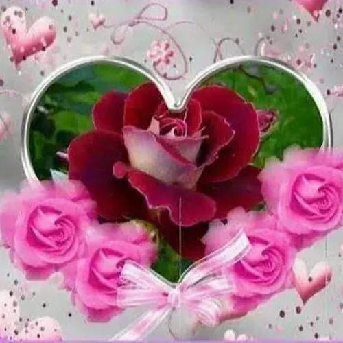 Nishan Nishan