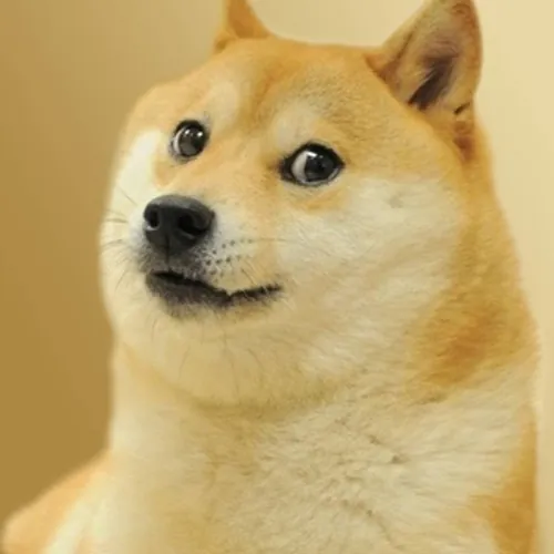 Cam Vàng Gaming