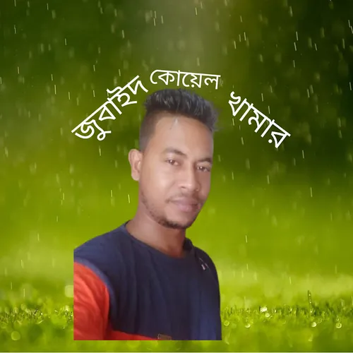 জুবাইদ কোয়েল খামার