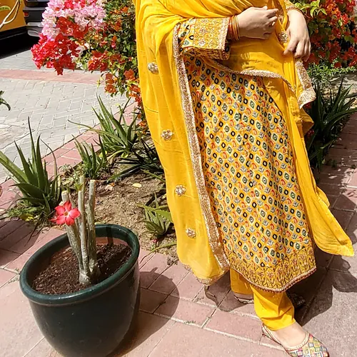 Hum do hamare chaar Vlogs
