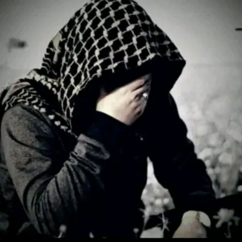 مهند