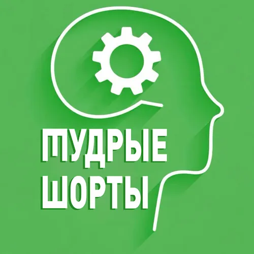 Мудрые шорты