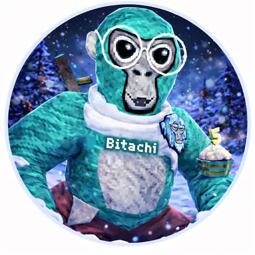 Bitachi