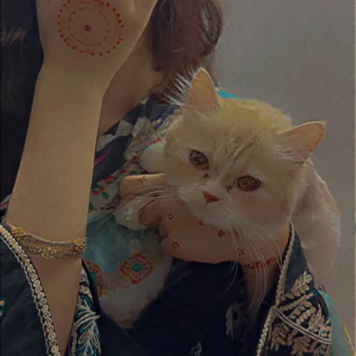 Honest Reviews by Aisha