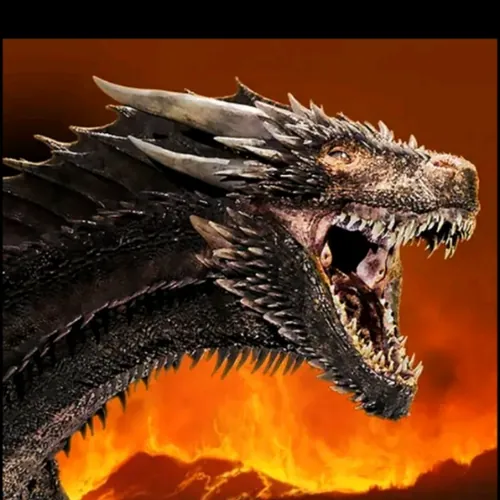 Dracorex 2434