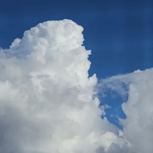 Weatherwatcherclips19